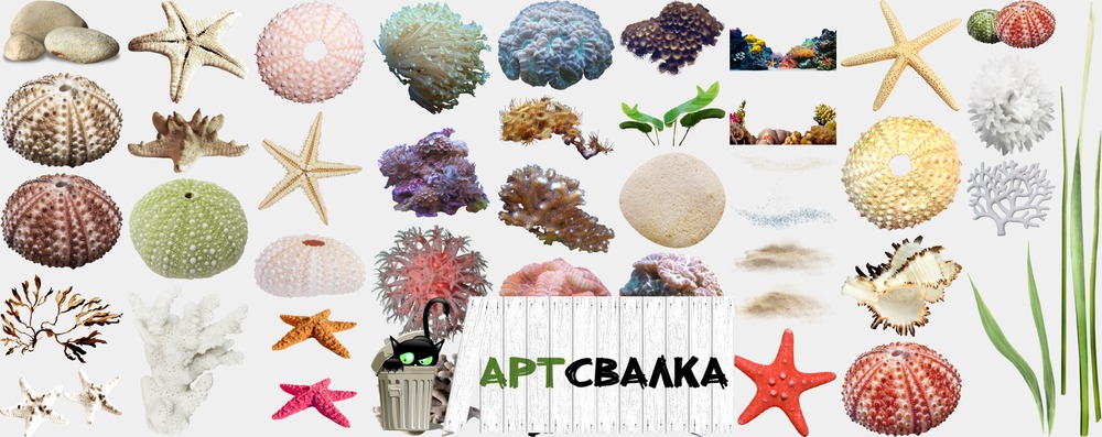 Кораллы и морские звезды. Часть 3 | Corals and sea stars. Part 3